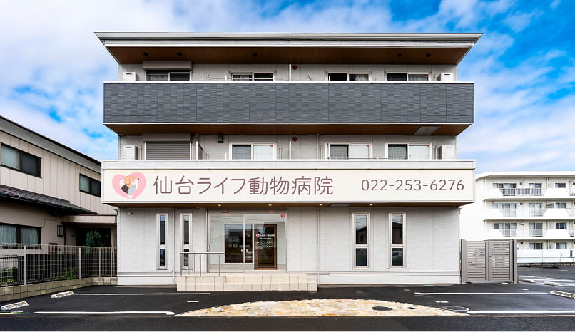 病院正面の駐車スペース
