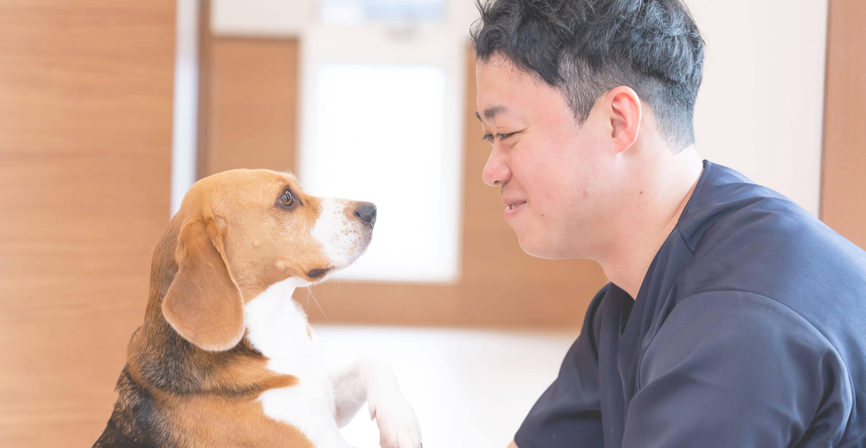 動物病院で診察を受ける犬